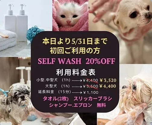 お得なキャンペーン|初めてSELF WASHご利用の方へ