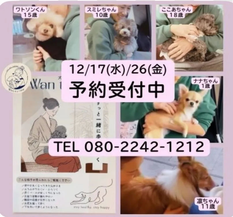 🐶犬の整体さん🐶