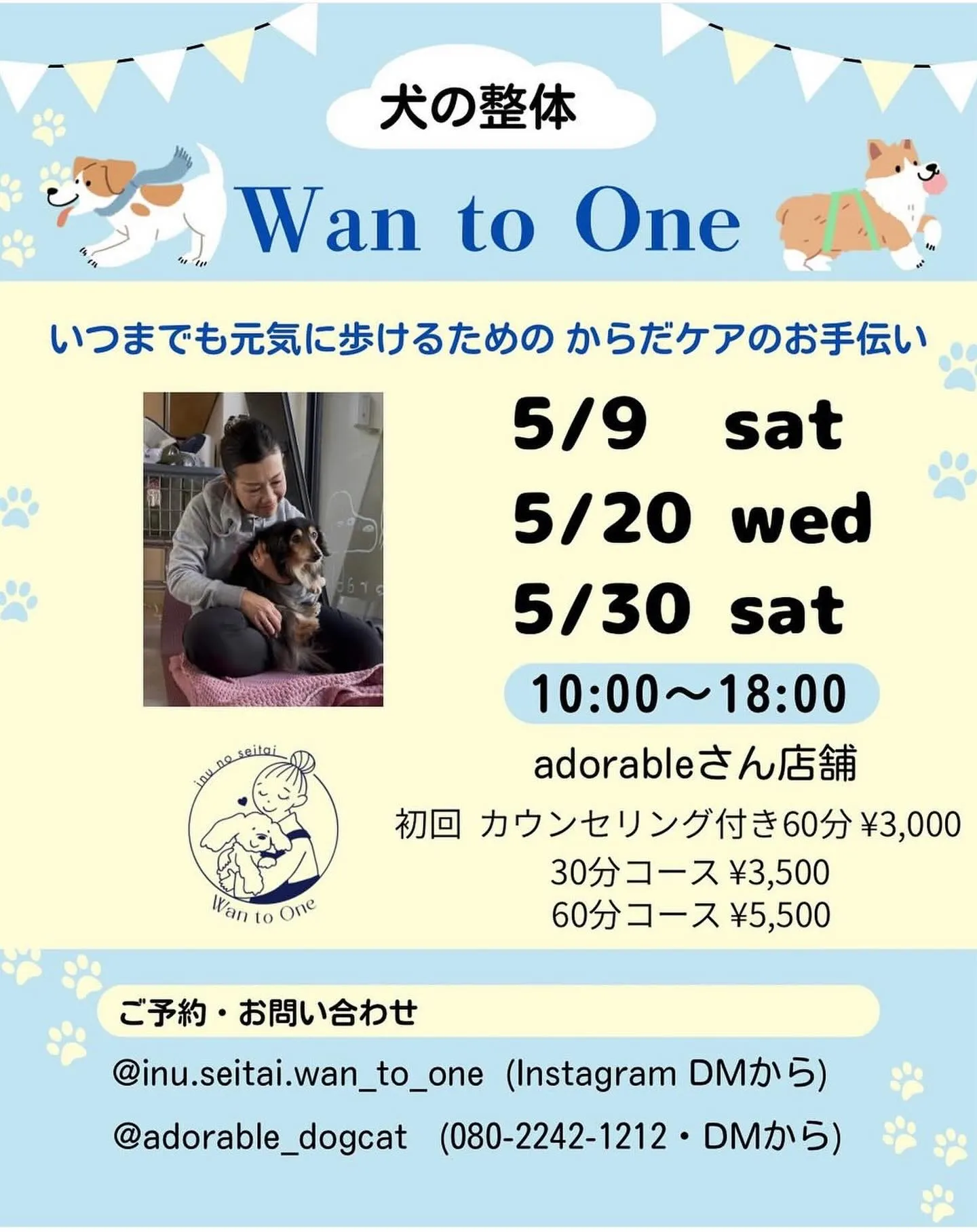 🐶犬の整体施術会🐶